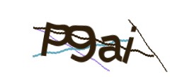 Identifying code