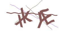 Identifying code