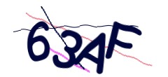 Identifying code