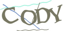 Identifying code
