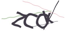 Identifying code