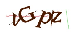Identifying code