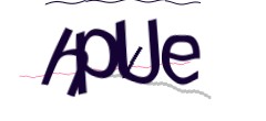 Identifying code