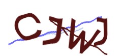 Identifying code