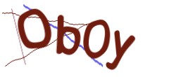 Identifying code