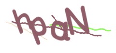 Identifying code