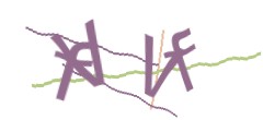 Identifying code