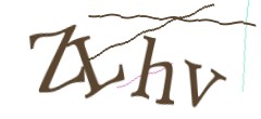 Identifying code