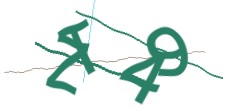 Identifying code