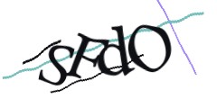 Identifying code