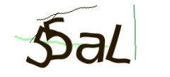 Identifying code