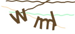 Identifying code