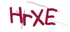 Identifying code