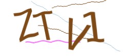 Identifying code