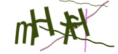 Identifying code