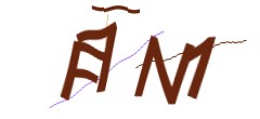 Identifying code