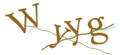 Identifying code