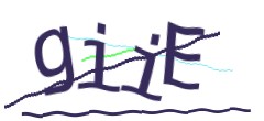 Identifying code
