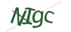 Identifying code