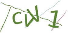 Identifying code