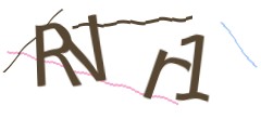 Identifying code