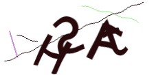 Identifying code