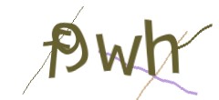 Identifying code