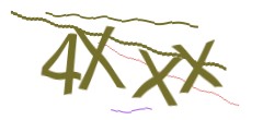 Identifying code
