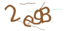 Identifying code