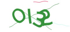 Identifying code