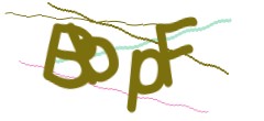 Identifying code