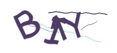 Identifying code