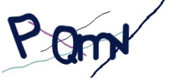 Identifying code