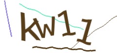Identifying code