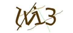 Identifying code