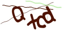Identifying code