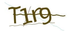 Identifying code