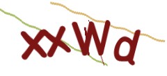 Identifying code