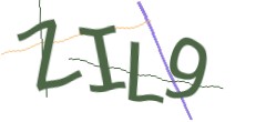 Identifying code