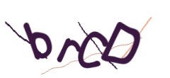 Identifying code