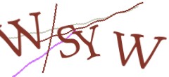 Identifying code