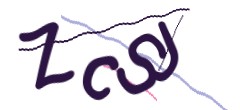 Identifying code