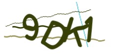 Identifying code