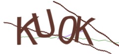 Identifying code