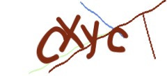 Identifying code