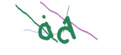 Identifying code