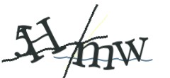 Identifying code