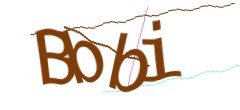 Identifying code