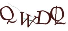 Identifying code