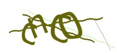 Identifying code